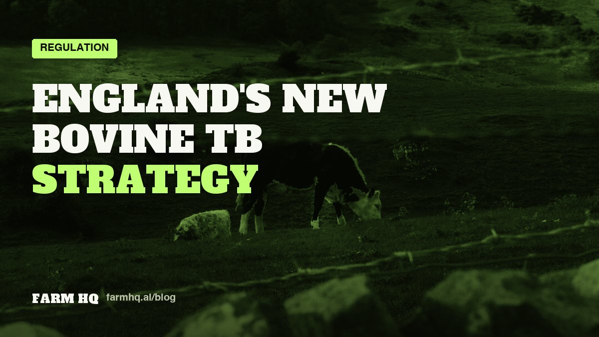 Cover: England's New Bovine TB Strategy Explained