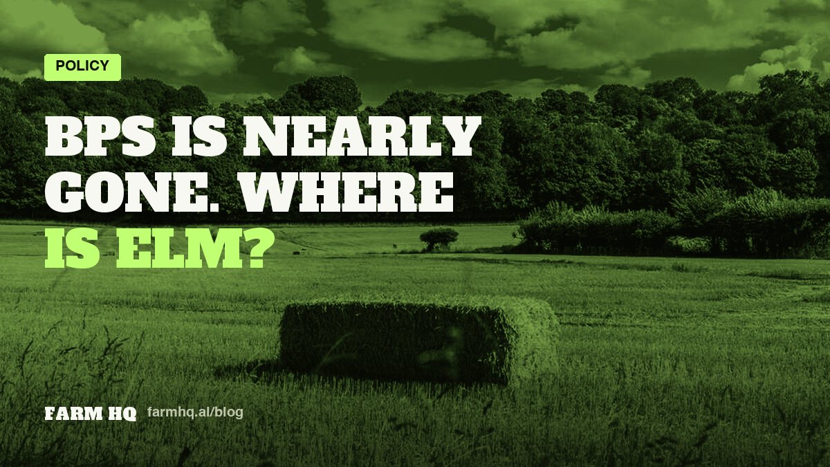 Cover: BPS Is Nearly Gone: Where ELM Stands Now