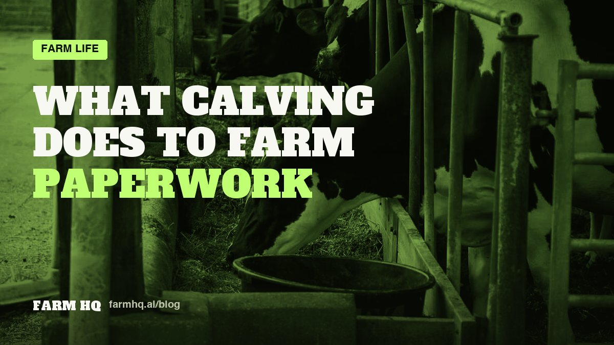 Cover: What Calving Season Does to Farm Paperwork