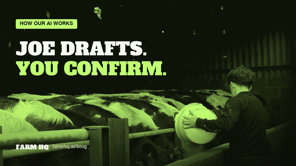 Cover: Joe Drafts, You Confirm: How Our AI Works