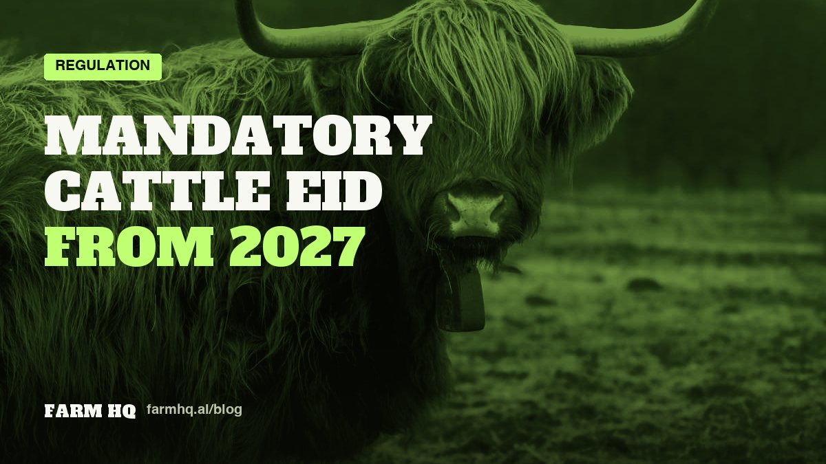 Cover: Mandatory Cattle EID From 2027: What Changes